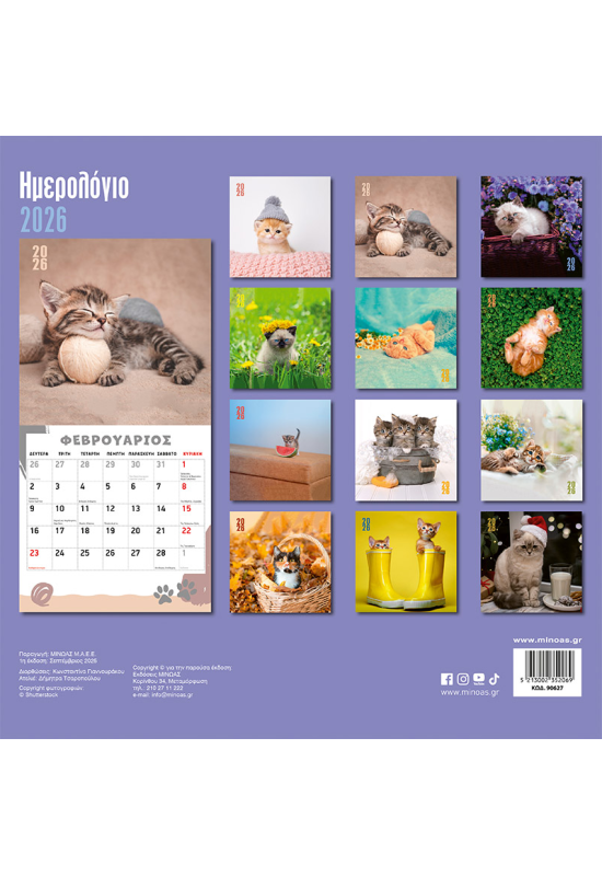 2026, Γατάκια τοίχου